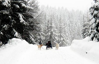 Schnee